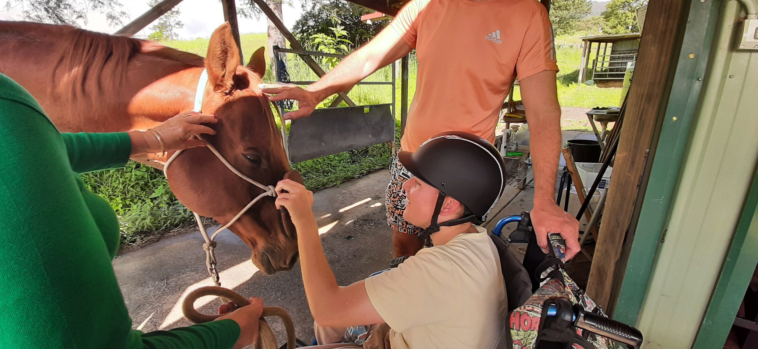 Equine therapy - boy patting a horse