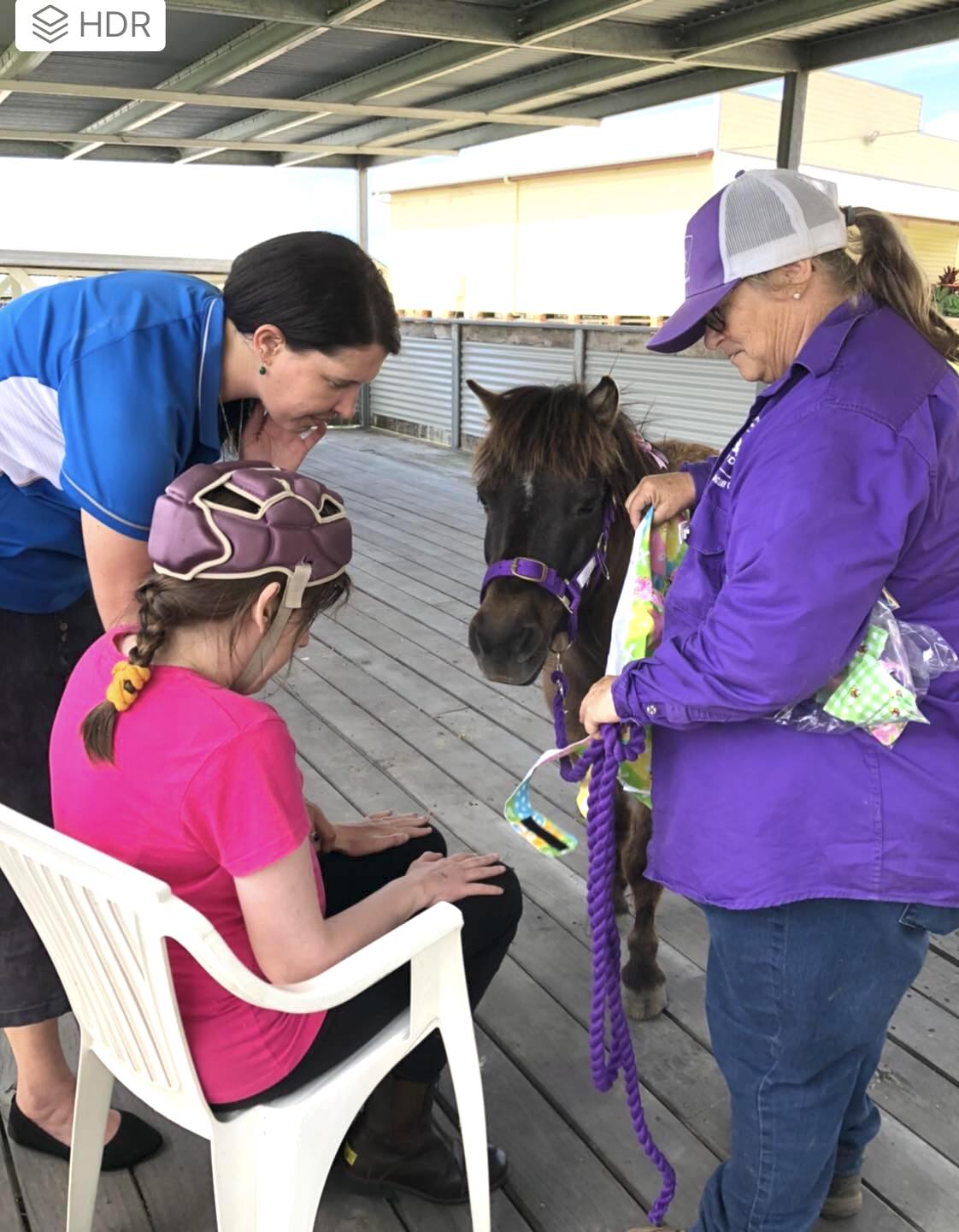 Shetland pony saying hello to participant